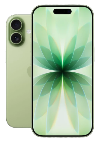 Apple iPhone 17 5G 512 GB Salbei