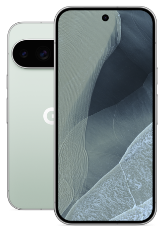 Google Pixel 11 Pro 5G 256 GB Fog