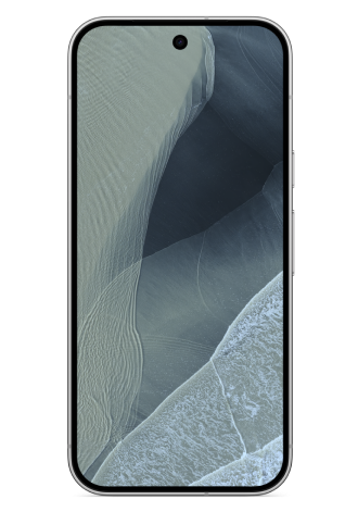Google Pixel 11 Pro 5G 256 GB Fog
