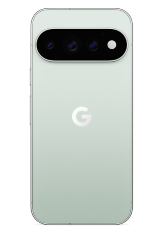Google Pixel 11 Pro 5G 256 GB Fog