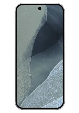 Google Pixel 11 Pro XL 5G 256 GB Fog