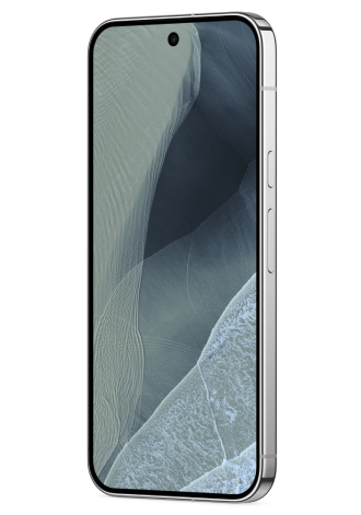 Google Pixel 11 Pro XL 5G 256 GB Fog