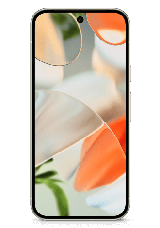 Google Pixel 9 5G 256 GB Porcelain