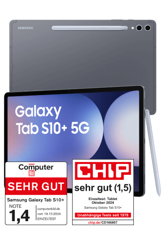 Samsung Galaxy Tab S10+ 5G 256 GB Moonstone Gray
