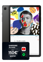 Samsung Galaxy Tab S6 Lite LTE 64 GB Oxford Gray