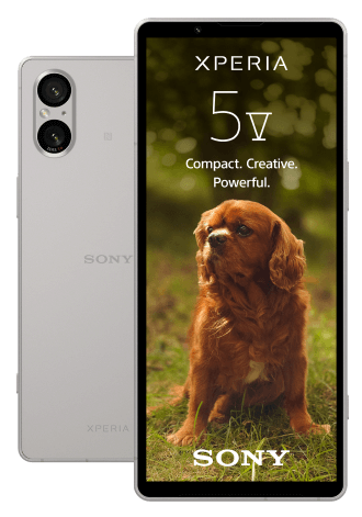Sony Xperia 5 V 5G 128 GB Silber