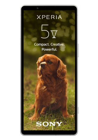 Sony Xperia 5 V 5G 128 GB Silber