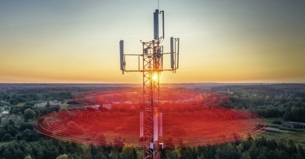 In der Mitte ist ein Mobilfunkmast zu sehen. Ein roter Radius zeigt an, wie weit der Empfang reicht.