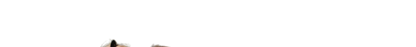 Oberteil von der Familie